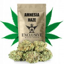 Tinh dầu CBD Amnesia Haze 20g